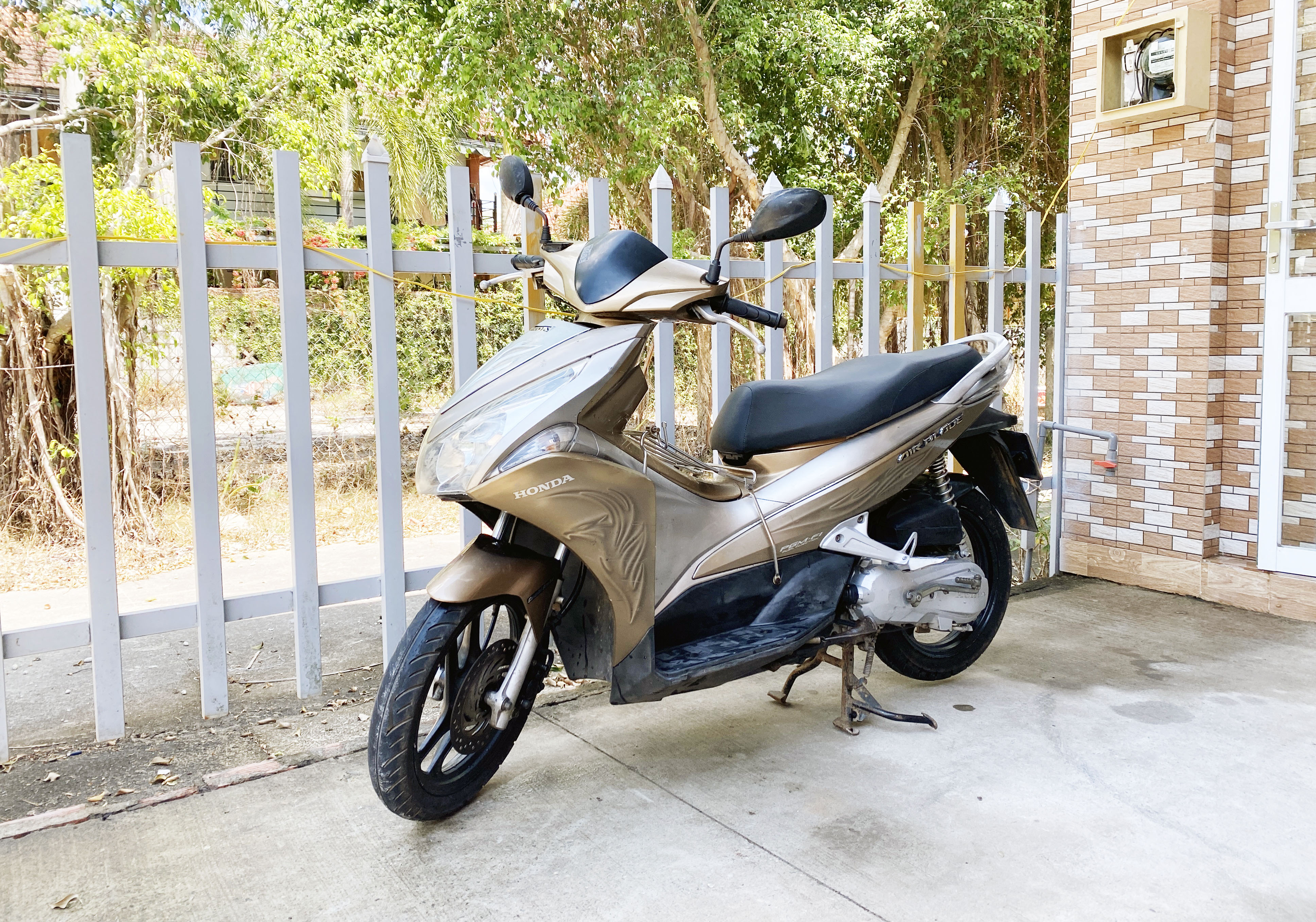 Ivy Motorbike