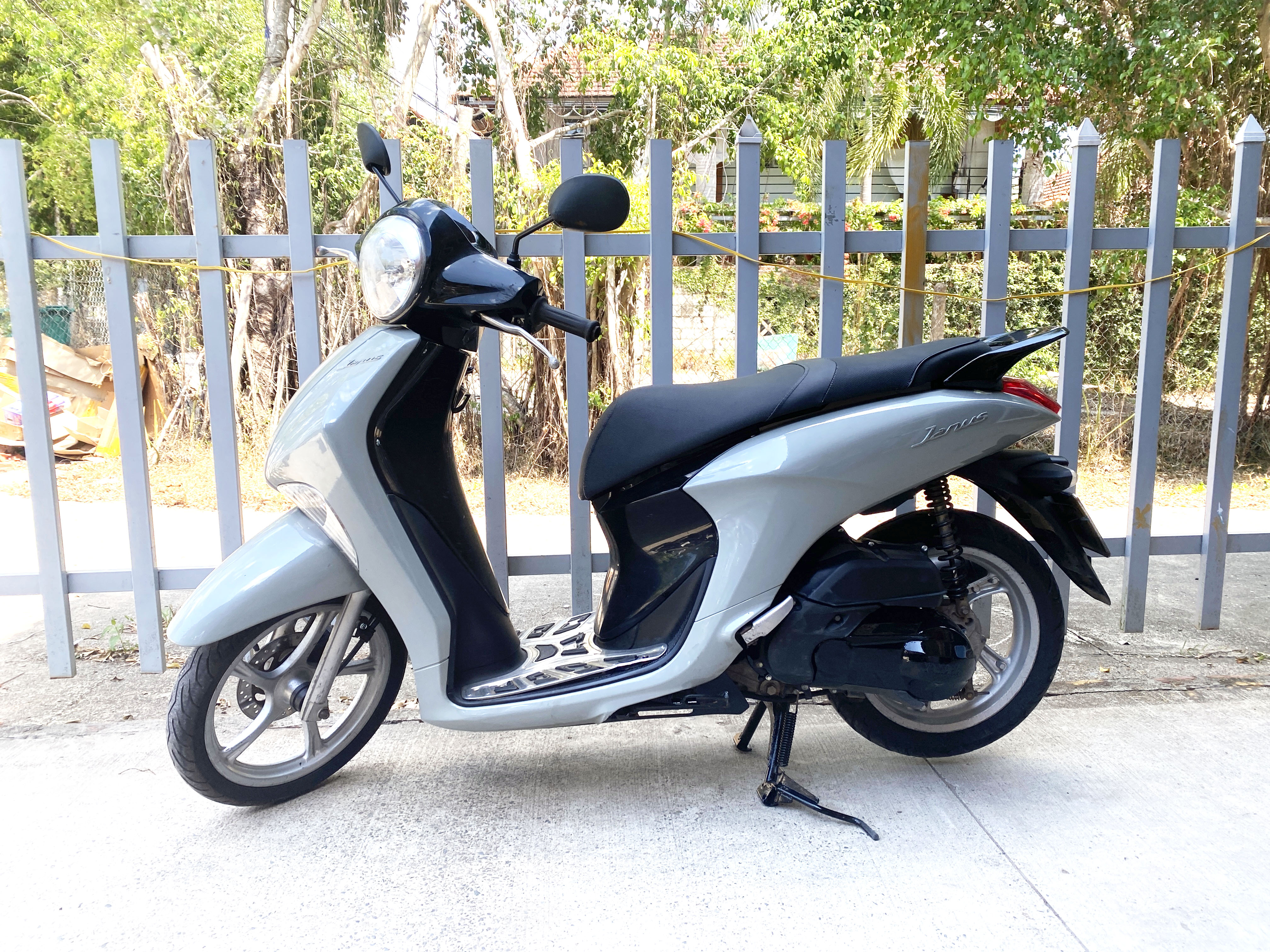 Ivy Motorbike