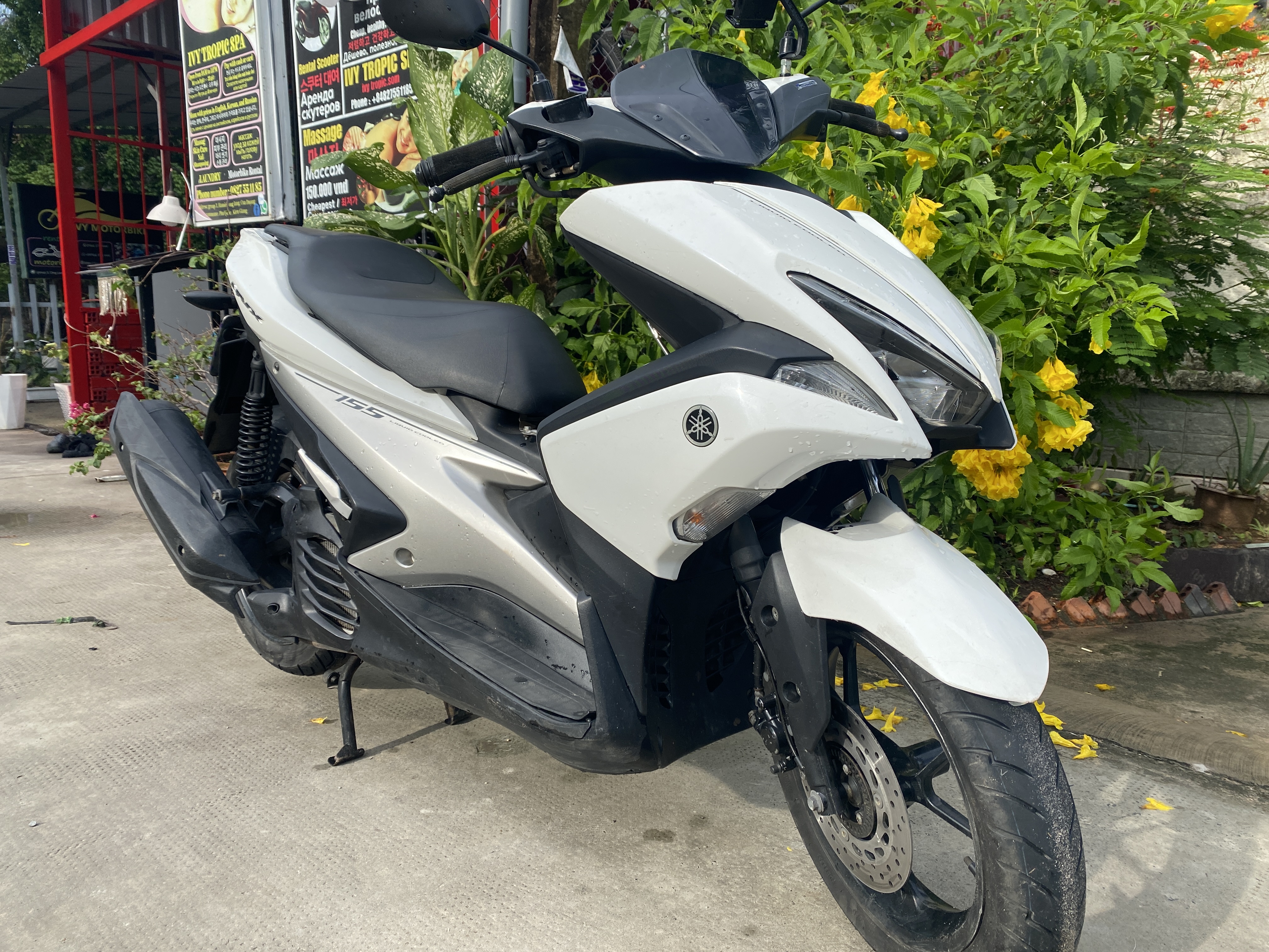 Ivy Motorbike
