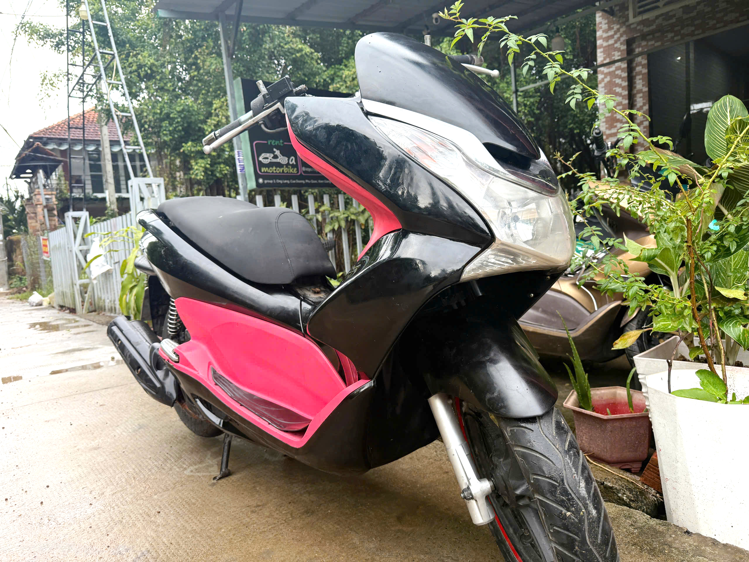 Ivy Motorbike